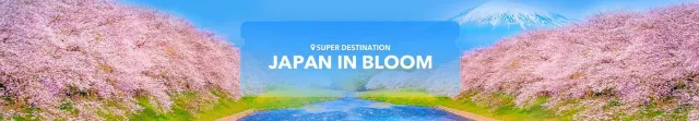 Super Destination: Japan in Bloom