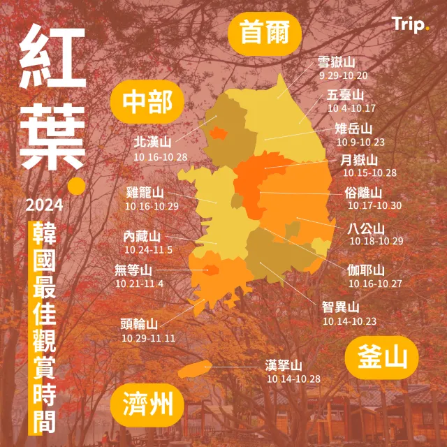 韓國紅葉預測 2024