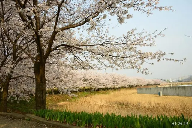 始興河溝生態公園