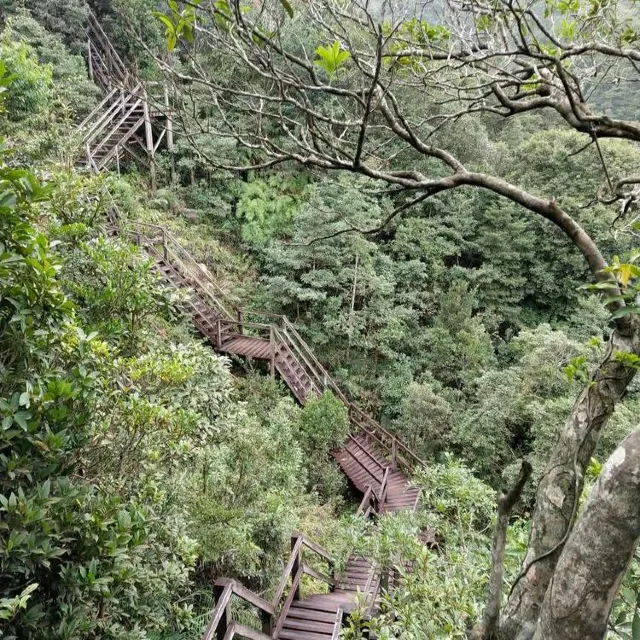 昂坪棧道蜿蜒的木樓梯