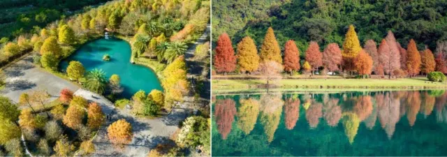 宜蘭員山蜊埤湖