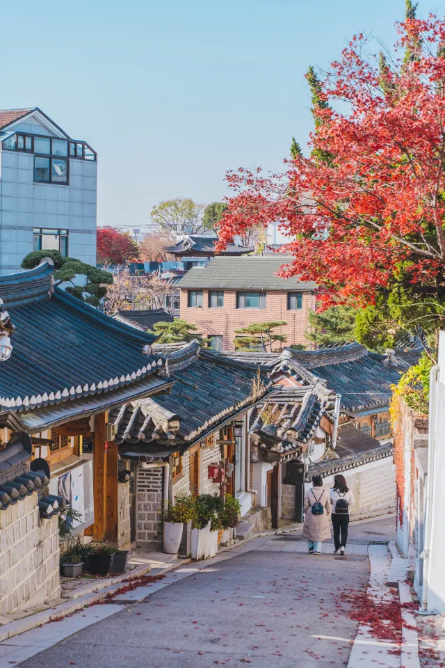 서울 단풍 명소 북촌한옥마을