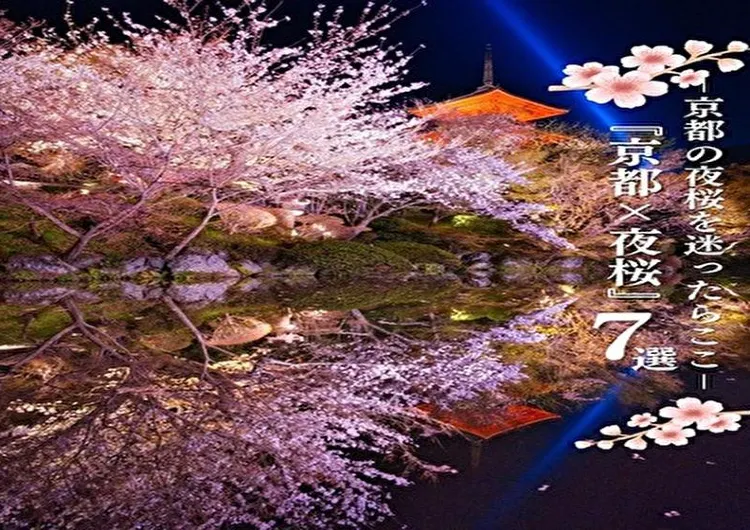 京都×夜桜 7選