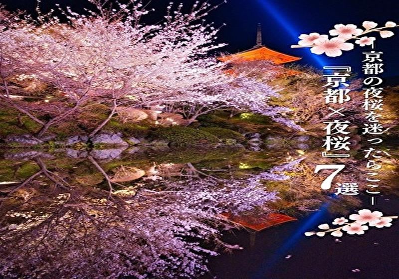 【京都×夜桜　2026】 絶対行きたいライトアップスポット7選｜夜桜巡りモデルコース付き🌸
