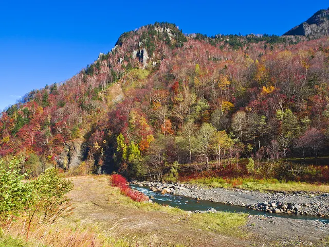 【紅葉 スポット2026】全国の紅葉名所・おすすめスポット|紅葉見頃・時期・絶景スポットまで紹介