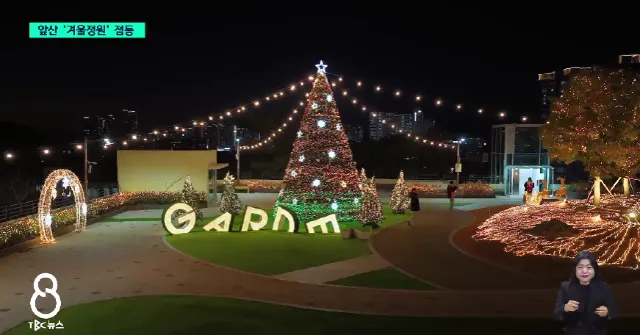 앞산 겨울정원 트리