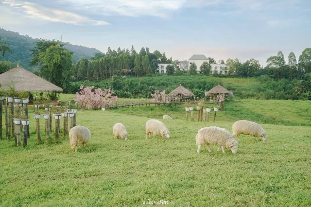 ที่เที่ยวเขาค้อ