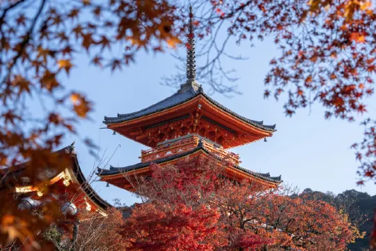 京都紅葉景點01清水寺
