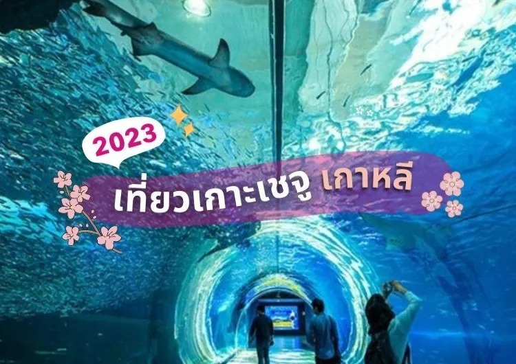 เที่ยวเกาะเชจู เกาหลีใต้ ฉบับอัปเดต 2567