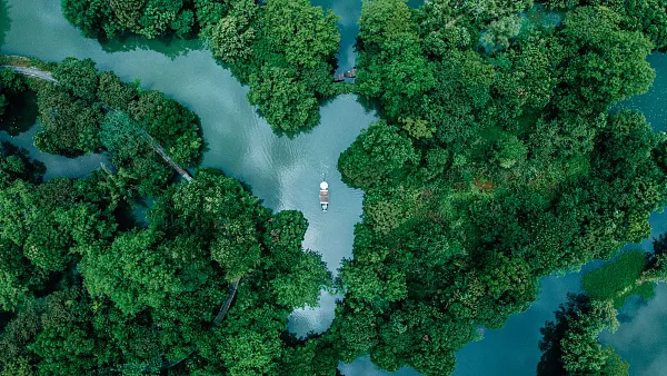 西溪國家濕地公園