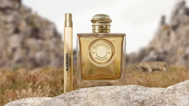 七夕禮物2025 | Burberry Goddess Eau de Parfum Intense香精