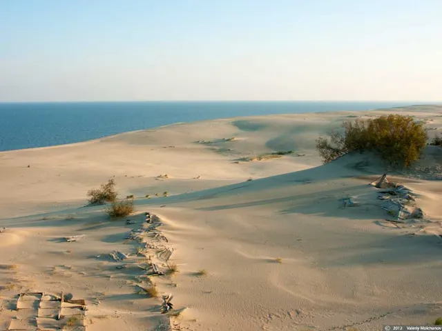 Высота Эфа (дюна Ореховая)