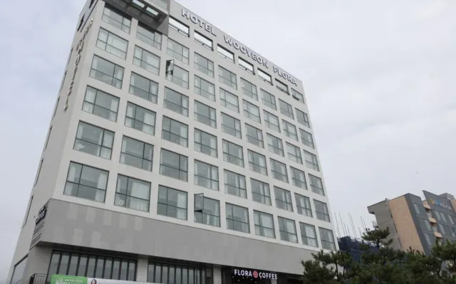 보령머드축제 숙박