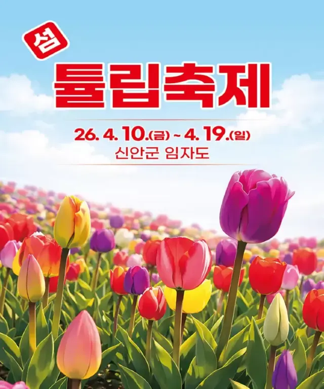 신안 임자도 튤립축제