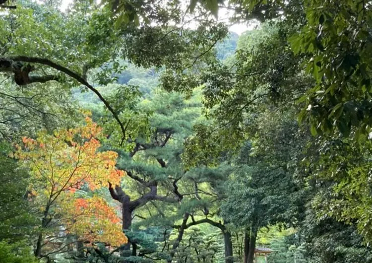 【香川県高松市】ミシュラン三つ星の大名庭園！園内の着物レンタルで散策・撮影もおすすめな香川県高松市の栗林公園（りつりんこうえん）