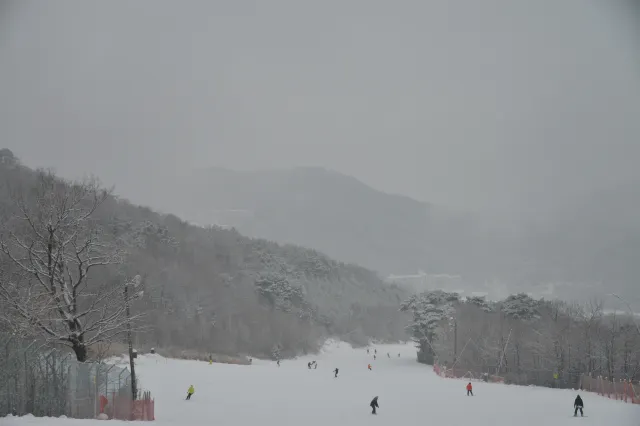 스키장 무주 덕유산 리조트
