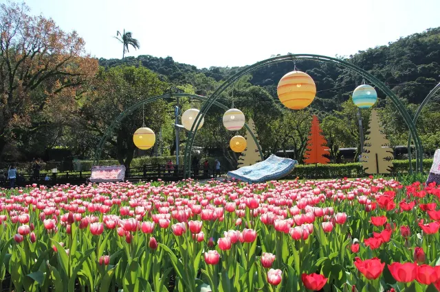 香戀土耳其