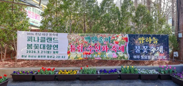 아산 피나클랜드 튤립.수선화축제