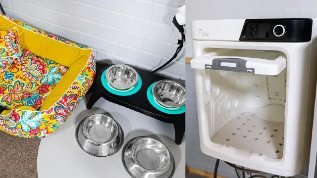 퍼피21 애견동반 펜션 후기