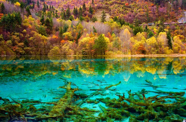 china jiuzhaigou fall view