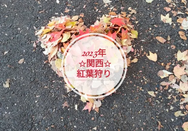 1mj2h12000bhi5zb457C0.jpg