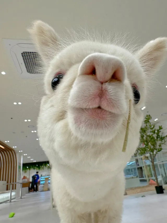 부산 실내데이트 실내동물원