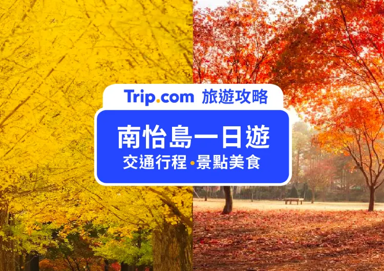 【2025 南怡島一日遊怎麼玩？】6 大景點＋5 大美食帶你玩轉韓劇取景地