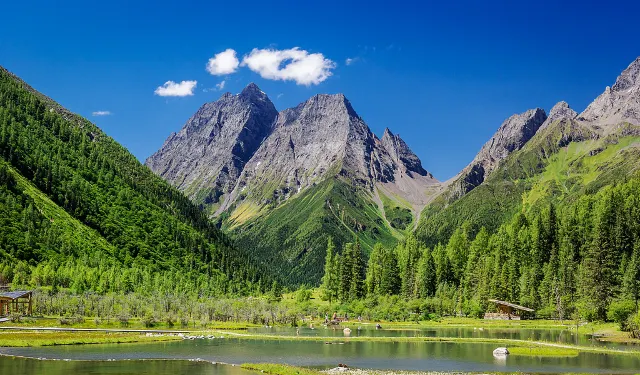 สี่ดรุณี ฤดูร้อน