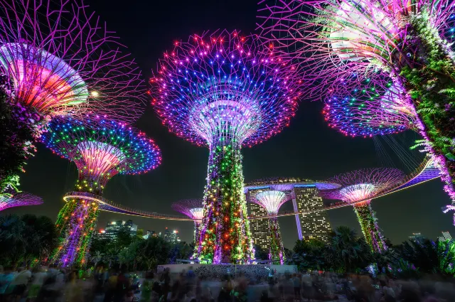 Сады у залива