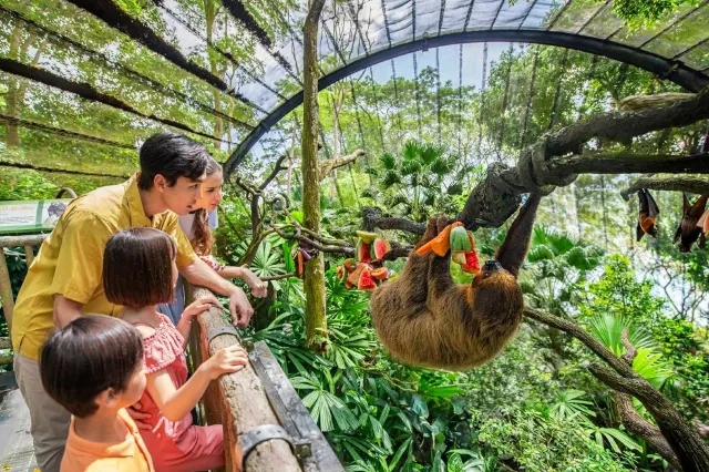 Attractions in Singapore - Singapore Zoo