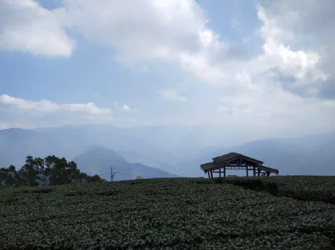 古坑大尖山登山步道