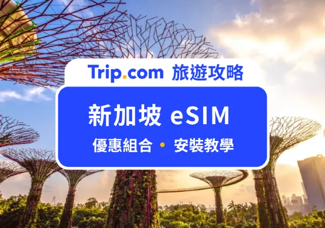 新加坡 eSIM