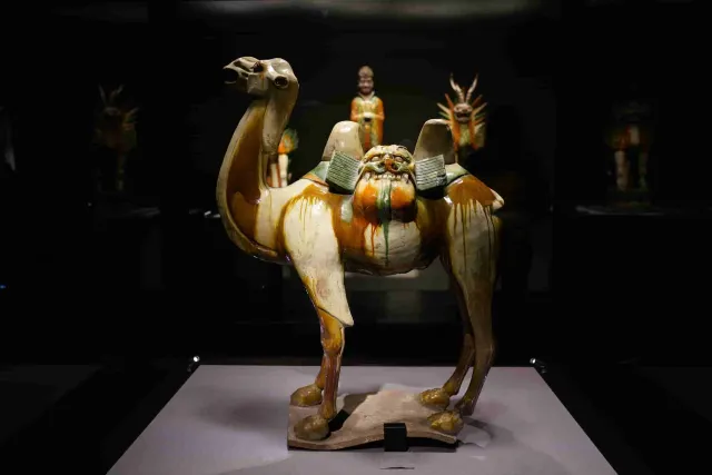 World Museums