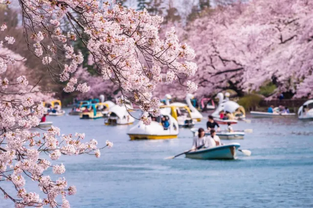 日本旅遊