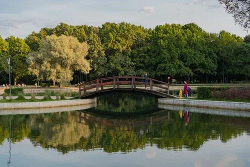 Парк «Дубки»