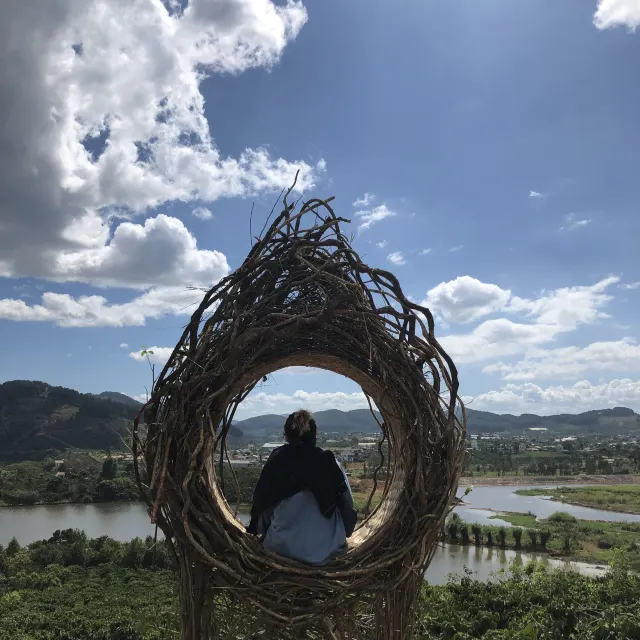 달랏 여행 메린 커피 농장 투어