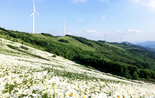평창 여행 평창 가볼만한 곳