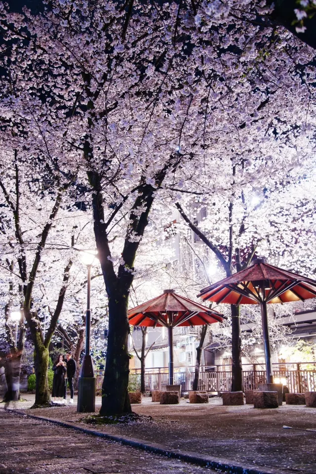 白川筋