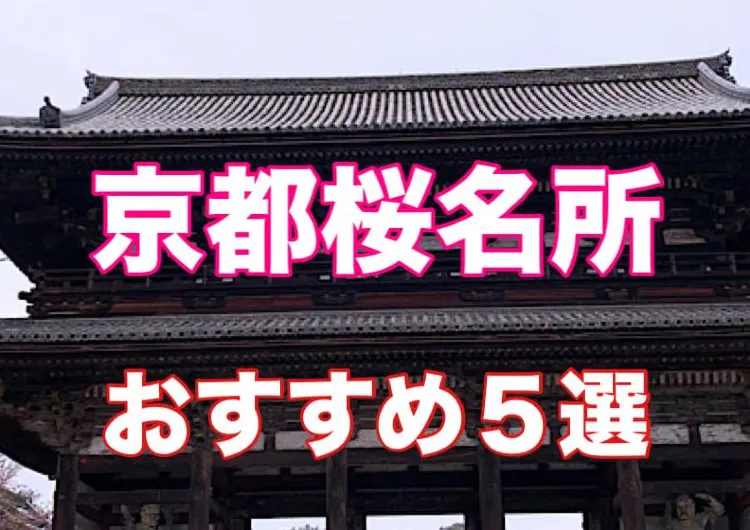 京都桜名所 : さくら名所意外な穴場　　　　　おすすめ５選