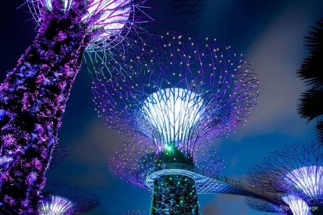 What is Gardens by the Bay?