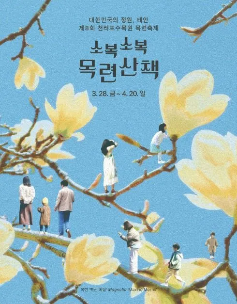 천리포수목원 목련축제