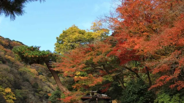 秋分の日2025