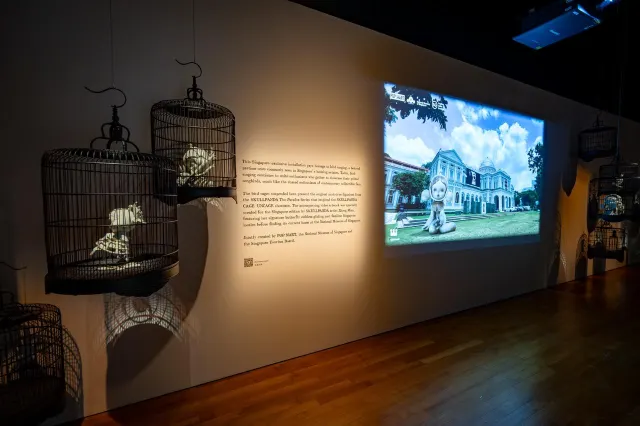 SKULLPANDA Exhibition