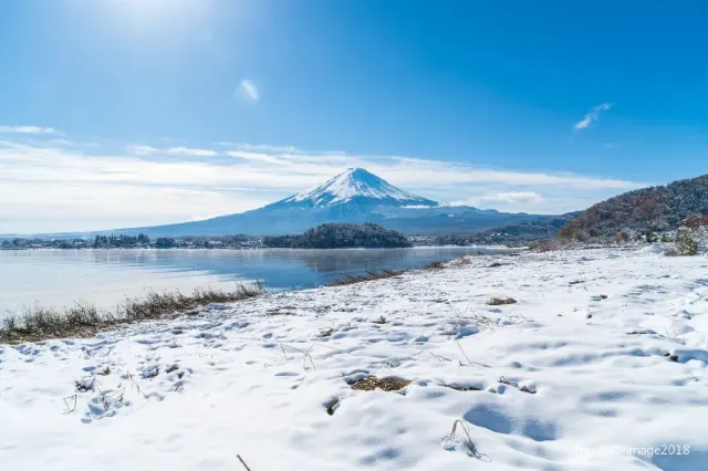 1mj2r12000gmlyufiCC75.webp