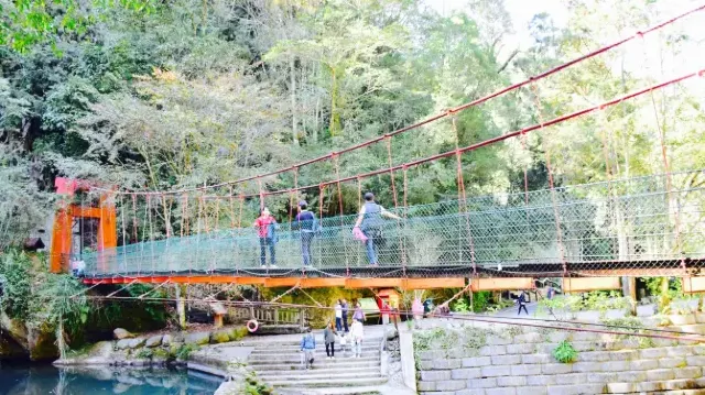 1mj2r12000jgy6rgrCFE3.webp