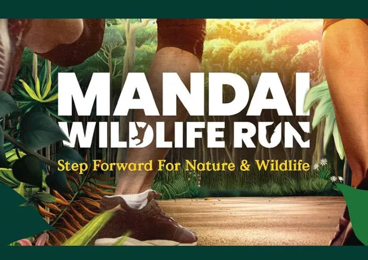  Mandai Wildlife Run: In Celebration of Our 50th Golden ZOObilee