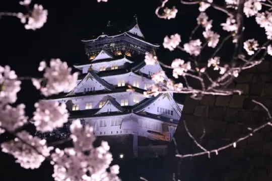大阪城と桜