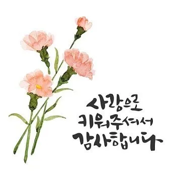 1mj2t12000k1b6v9x5798.png