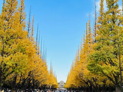 메이지 신궁 외원