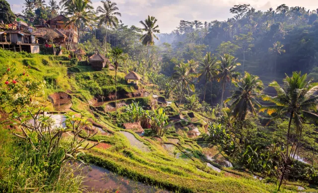 pemandangan ubud